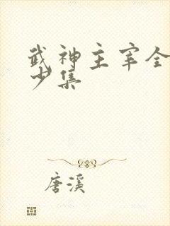 武神主宰全集多少集