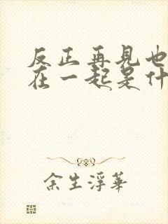 反正再见也不会在一起是什么歌