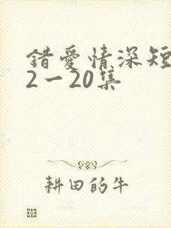 错爱情深短剧12一20集