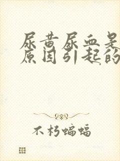 尿黄尿血是什么原因引起的