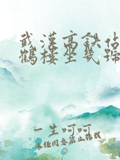 武汉高铁站去黄鹤楼坐几号地铁