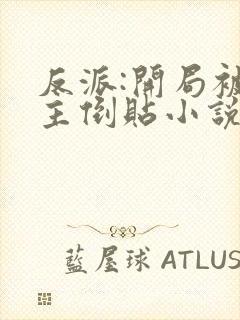 反派:开局被女主倒贴小说