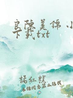 良陈美锦 小说下载txt