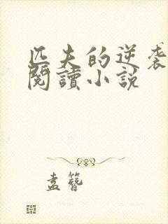 匹夫的逆袭免费阅读小说