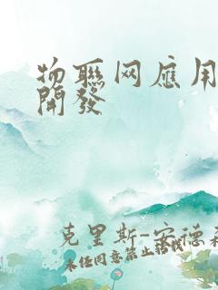 物联网应用项目开发