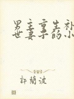 男主重生补偿前世妻子的小说现代