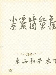 小便暗红色是什么原因男性