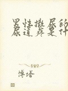 男性撒尿的时候尿道疼是什么原因