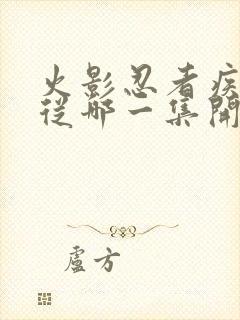 火影忍者疾风传从哪一集开始