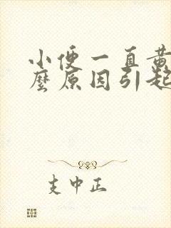 小便一直黄是什么原因引起的