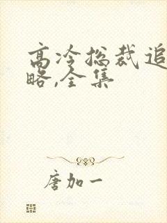 高冷总裁追妻攻略,全集