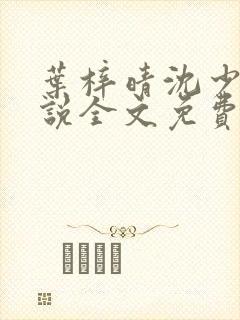 叶梓晴沈少廷小说全文免费阅读