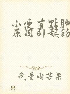 小便有点肿什么原因引起的