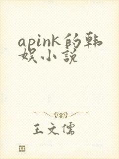 apink的韩娱小说