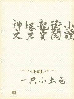 神级龙卫小说原文免费阅读