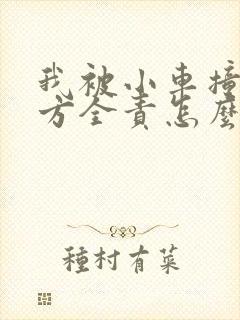 我被小车撞了对方全责怎么谈赔偿