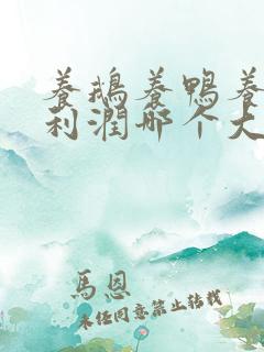 养鹅养鸭养鸡的利润哪个大