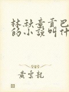 林秋意贡巴平措的小说叫什么名字