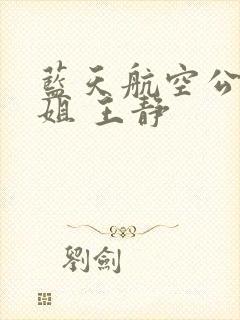 蓝天航空公司空姐 王静