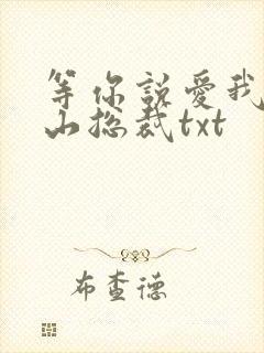 等你说爱我之冰山总裁txt