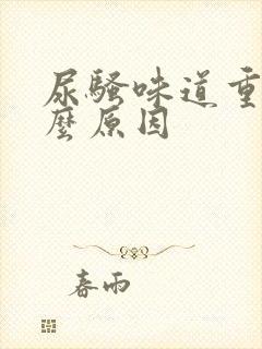 尿骚味道重是什么原因