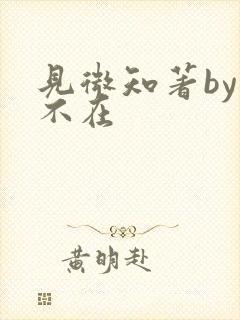 见微知著by音不在