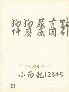 狗狗尿有点红是什么原因引起的