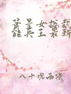 萧晨女总裁的全能兵王最新