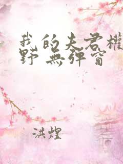 我的夫君权倾朝野 无弹窗