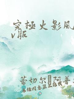 究极火影风暴满v版