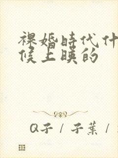 裸婚时代什么时候上映的