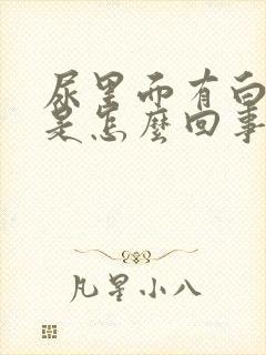 尿里面有白泡泡是怎么回事