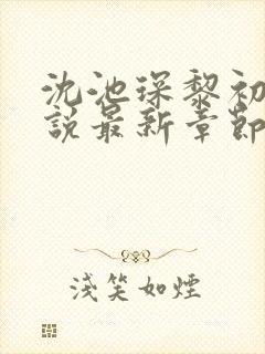 沈池琛黎初念小说最新章节