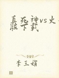 真死神vs火影版下载