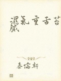 湿气重舌苔白厚腻