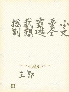 总裁霸爱小娇妻别想逃全文阅读