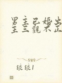 男主已婚出轨女主三观不正小说