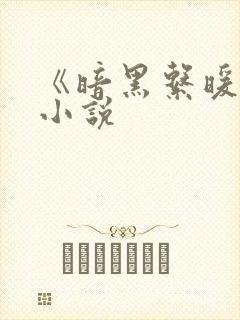 《暗黑系暖婚》小说