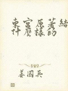 东宫原著结局是什么样的