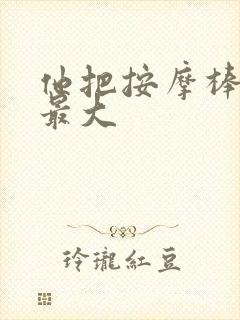 他把按摩棒开到最大