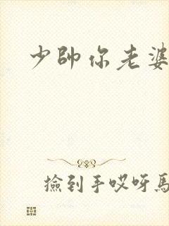 少帅你老婆