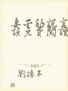 妻子的谎言 小说免费阅读