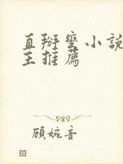 直掰弯小说双男主推荐