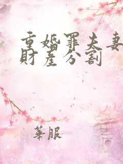 重婚罪夫妻离婚财产分割