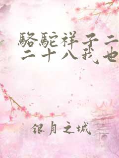 骆驼祥子二十七二十八我也不去