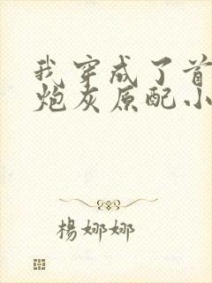 我穿成了首辅的炮灰原配小说