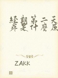 经期第二天拉尿疼是什么原因