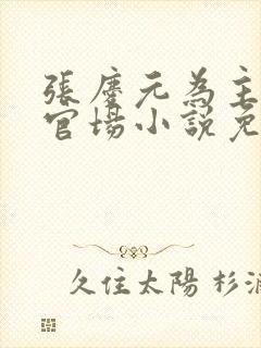 张庆元为主角的官场小说免费阅读无弹窗