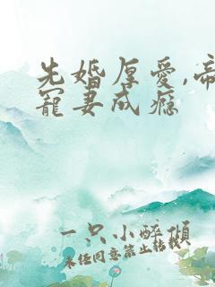 先婚厚爱,帝少宠妻成瘾