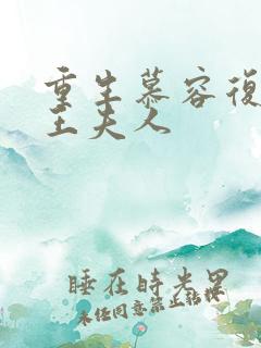 重生慕容复之弄王夫人